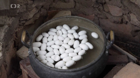 Evropa dnes - Italiana 5/5