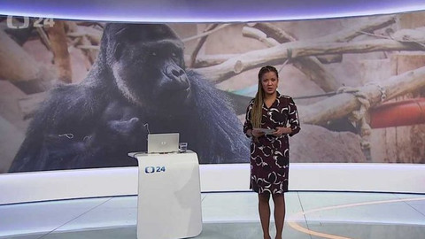 90’ ČT24 - Dopad koronaviru na zvířecí říši