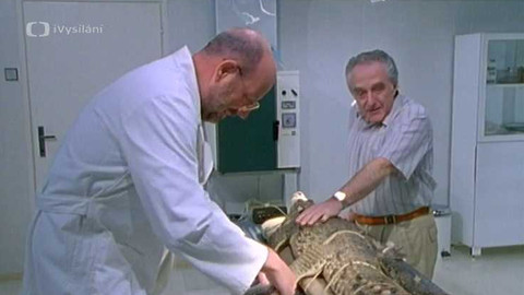 O zvířatech a lidech - 2/13 Sázka