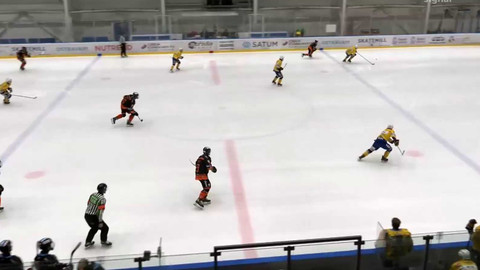 Univerzitní liga ledního hokeje - BO Ostrava Vítkovice Steel - HC NORTH WINGS Ústí nad Labem