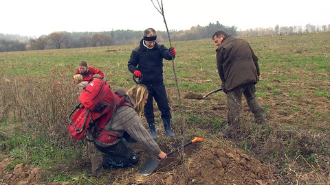 Nedej se! - Stromy k nezaplacení