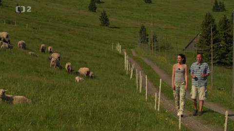 Minuty z Krkonoš - Budní hospodaření