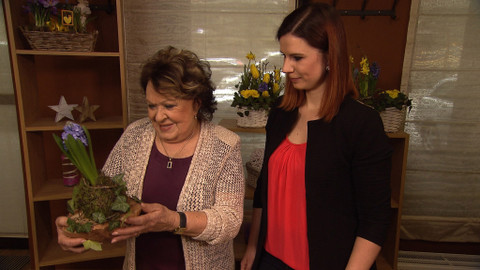 Hobby naší doby - 20. května 2017