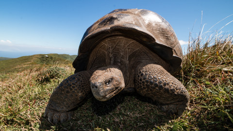 Galapágy - laboratoř evoluce - 2/2 Skrytý ráj