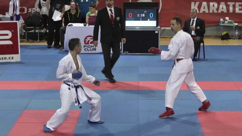 Bojové sporty - 22. února 2019