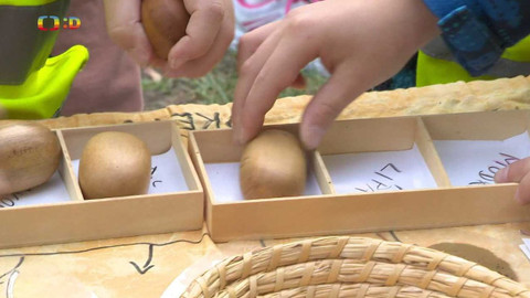 Zprávičky - 20. října 2023