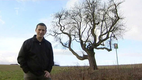 Živé srdce Evropy - Hrušeň v polích