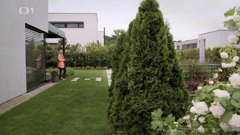 Polopatě - 29. června