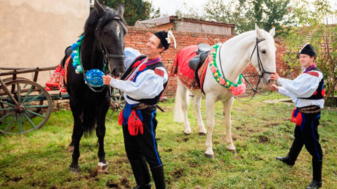 Českem na koňském hřbetu - 12/14 S Jasánkem na tahu