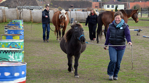 Malá farma - Krocení koní