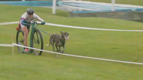 MS v individuálním mushingu 2025 Česko - Mistrovství světa ICF v individuálním mushingu