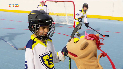 Lvíčata - 14. června