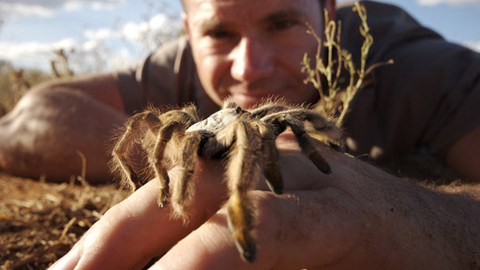 60 zvířecích zabijáků - Epizoda 5/6