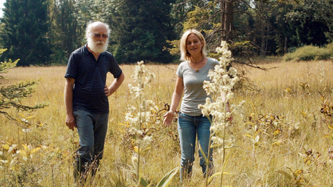 Kouzelné bylinky - Bylinky mocné i nebezpečné