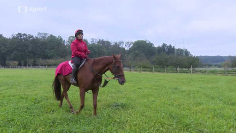 Studio ČT sport - 21. dubna 2020