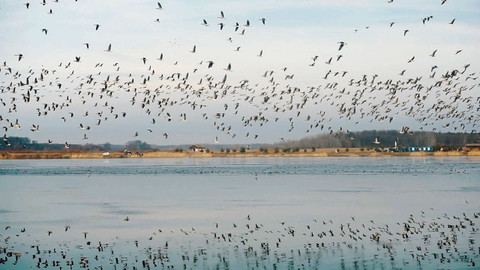 Hranice v srdci - 16/16 Dyjský trojúhelník