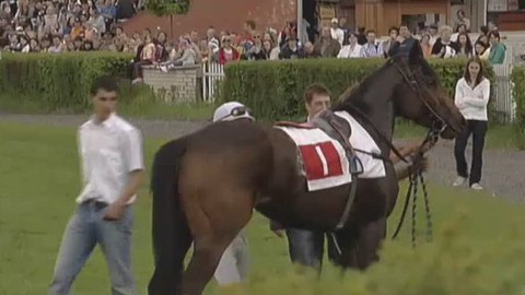 Jezdectví - Jarní cena klisen - Chuchle