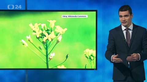 Věda 24 - 15. prosince 2019