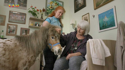 Zvířecí profesionálové - Minikůň, který zlepšuje náladu