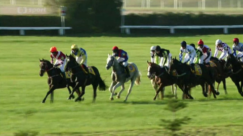 Velká pardubická - 2010