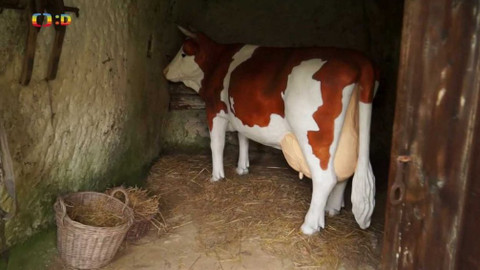 Tamtam - 29. května 2021