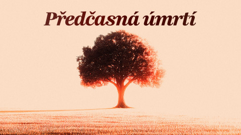 Předčasná úmrtí