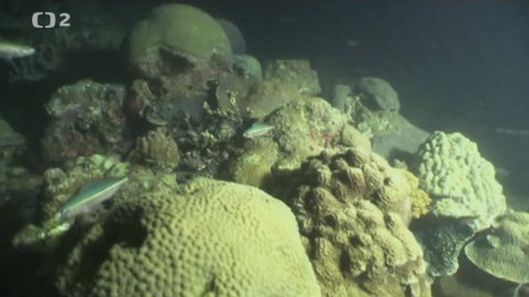 Expedice Tara Oceans - 2/4 Posvátná úmluva