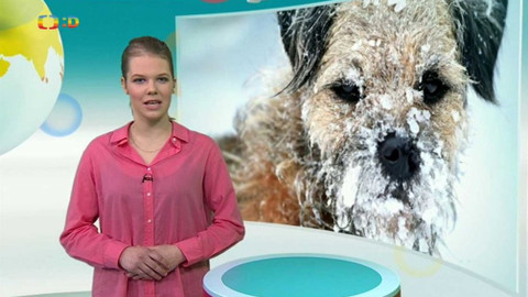 Zprávičky - 10. ledna 2017