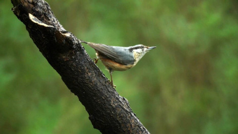 Chcete mě? - 28. dubna 2019