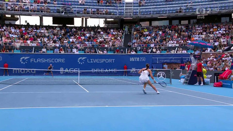 Prague Open - Livesport Prague Open