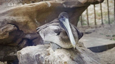 Objektiv - 13. prosince 2020