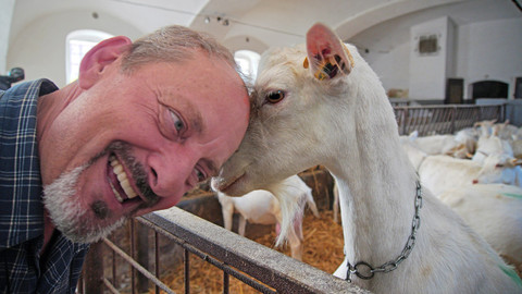 Trvalé bydliště venkov - 6/16 Kozy v hlavní roli