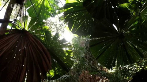 Objektiv - 23. února 2020