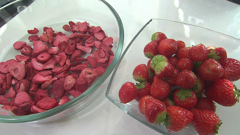 Černé ovce - 5. listopadu 2024