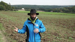 Amálie, chytrá krajina