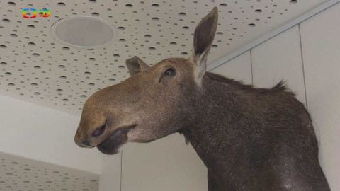 Tamtam - 22. září 2018