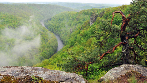 Nedej se! - Obrázky z Podyjí