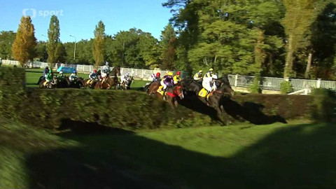 Velká pardubická - historie - 2013