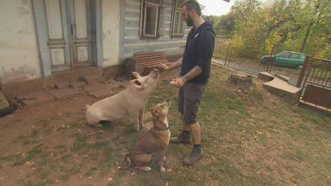 Chcete mě? - 18. listopadu 2018