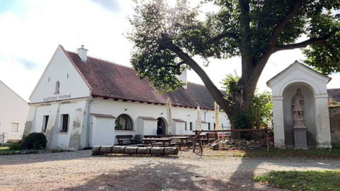 Týden v regionech (Brno) - 21. října 2023