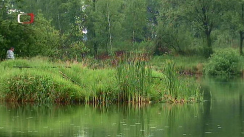 Hranice bez hranic - 3/16 Na soutoku Odry a Olzy