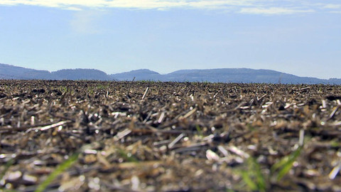 Nedej se! - Haly na obzoru