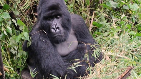 Objektiv - 4. srpna 2019