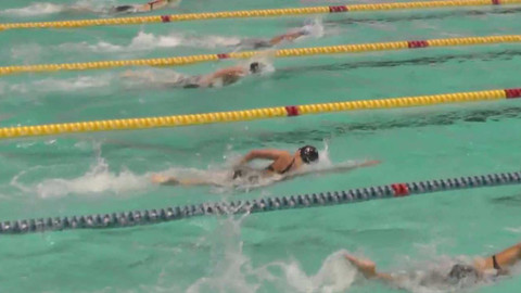 Český pohár Arena Cup - VC Brna