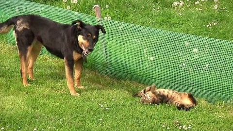 Cyklotoulky - Plzeň