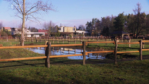 Nedej se! - Pastvina zájmů