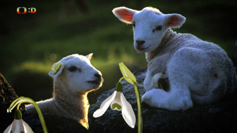 Zprávičky - 18. dubna 2022