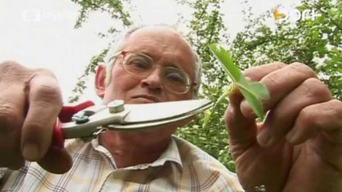 PORT - 27. června 2007