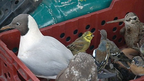 Reportéři ČT - 7. prosince 2009