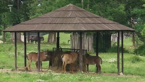 Toulavá kamera - 12. srpna 2012